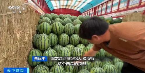 娱乐吃瓜718入口,718入口带你吃遍热门瓜料 第2张 娱乐吃瓜718入口,718入口带你吃遍热门瓜料 第2张